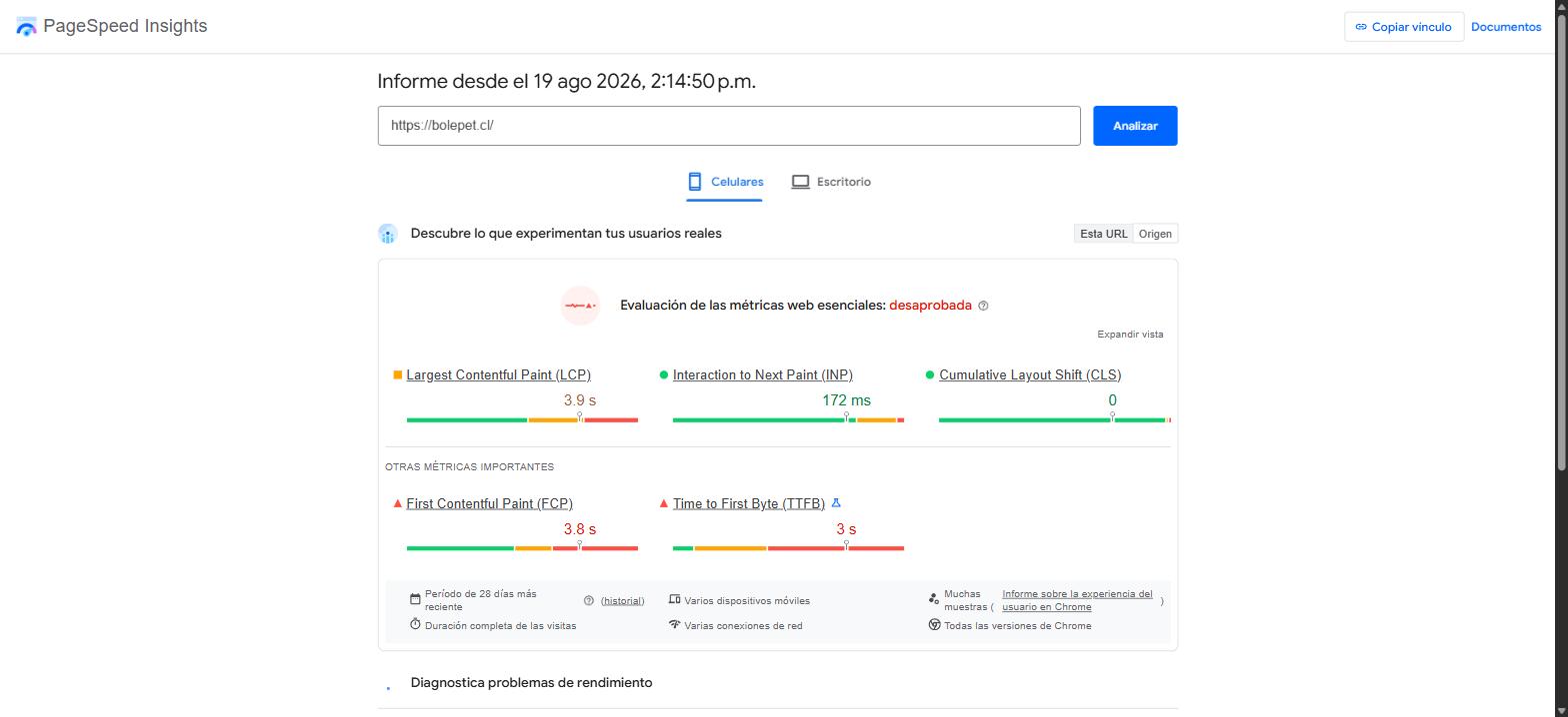 Medición de velocidad de bolepet.cl según Google, con datos de usuarios reales